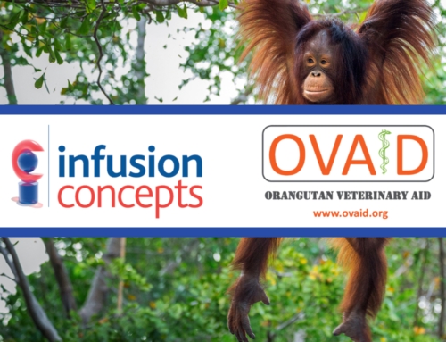 Introducing OVAID: Helping Orangutans since 2018